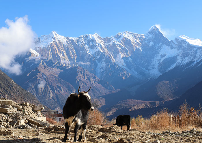 11 Tage Kultur & Natur Tibet Kleingruppenreisen: Von Lhasa bis Nyingchi zum Everest