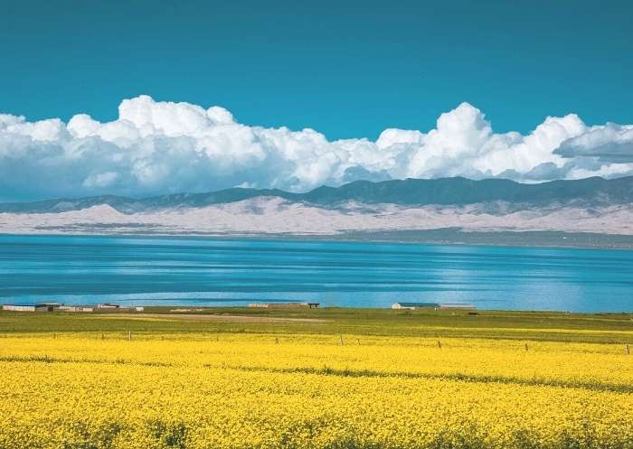 Die friedliche natürliche Schönheit des Qinghai-Sees