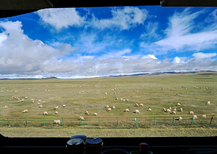 Die wunderschöne Zugfahrt mit der Tibet-Bahn