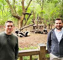 Besuch der Panda-Zuchtstation in Chengdu Besuch der Panda-Zuchtstation in Chengdu